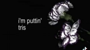 2979.mp4