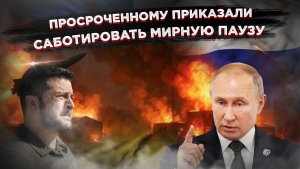 23 тысячи нарушений за три дня: ВСУ превратили перемирие Трампа в фарс