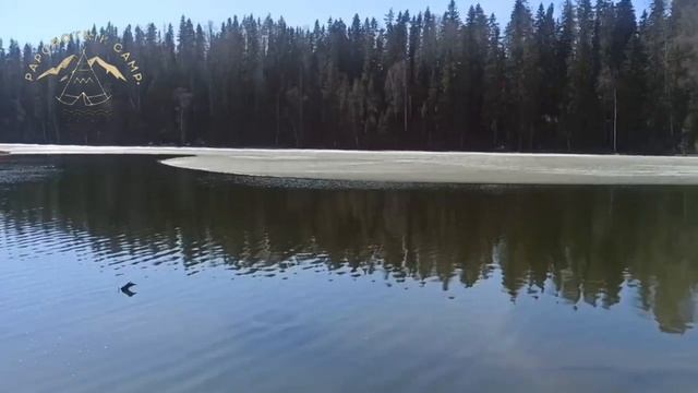 35398.mp4