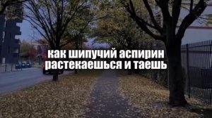 2947.mp4
