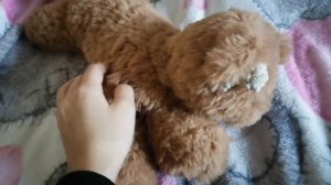 идем в детский сад для собак🦮