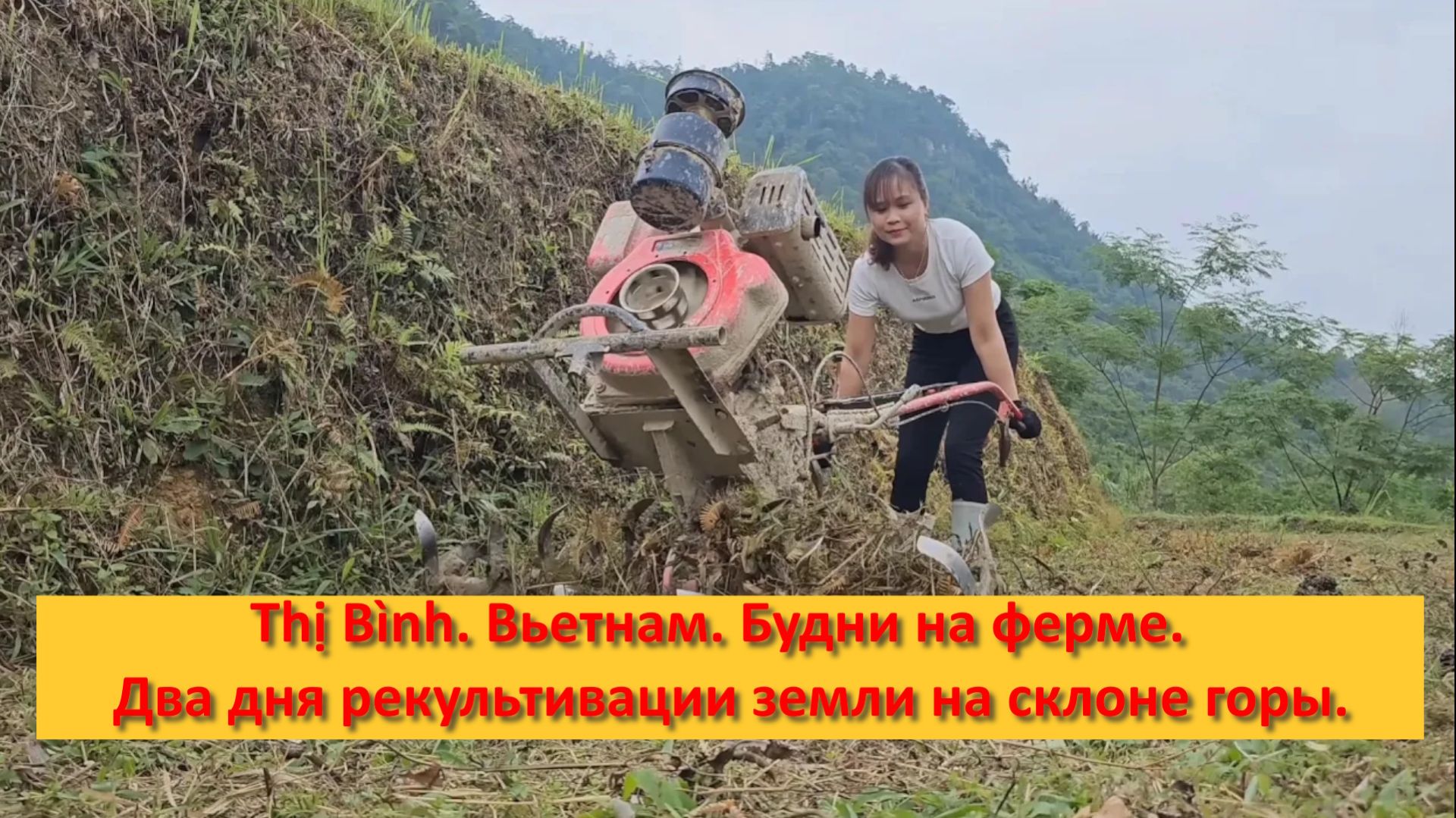 Thị Bình. Вьетнам. Будни на ферме. Два дня рекультивации земли на склоне горы.