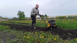 РОДИЛА,МНОГОДЕТНАЯ МАМА/ПРОСИТ ОБРЕЗАТЬ ВОЛОСЫ/СУЕТА В ДЕРЕВНЕ
