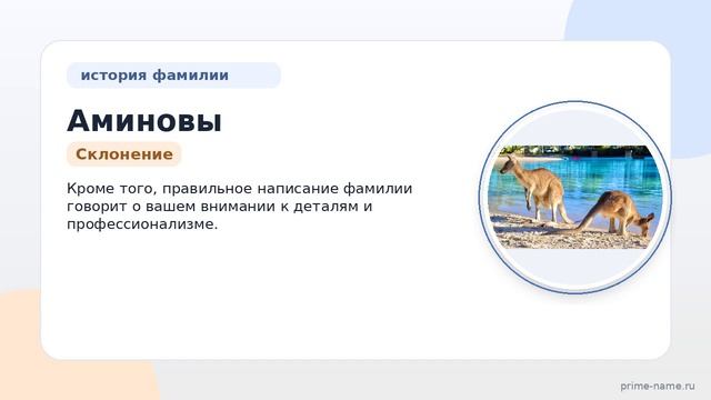Фамилия Аминовы: происхождение, значение и склонение