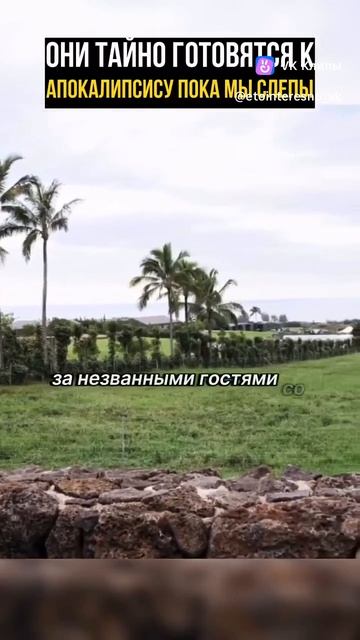 vkclips_20260511101603