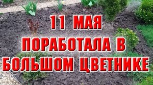 11 мая. Поработала в большом цветнике, сделала арку для клематисов