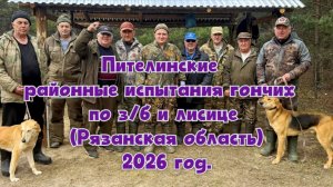 Пителинские районные испытания гончих по з/б и лисице (Рязанская область) 2026 год.#топ #hunting