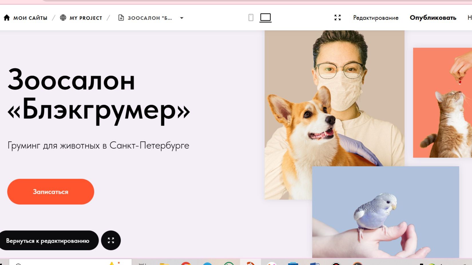 Команда "Пикмулька"/Сайт для зоосалона "Блэкгрумер"