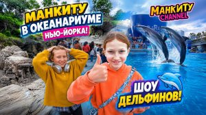 Манкиту в океанариуме Нью-Йорка 🐬 Шоу дельфинов и морские животные