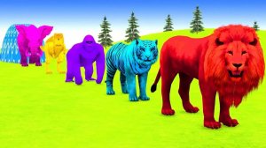 Длинный спуск: кто победит? Смешные 3D-животные в безумной гонке!