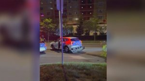 Каршеринг снес дерево, уходя от пяти экипажей ДПС в Москве