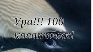 Спасибо, вы лучшие 🥹