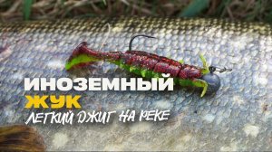 Инопланетный Жук и Трофеи Маленькой Речки на Легкий Спиннинг Ловля Джигом