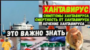Хантавирус. Симтомы Хантавируса. Как передаётся Хантавирус, что за болезнь.