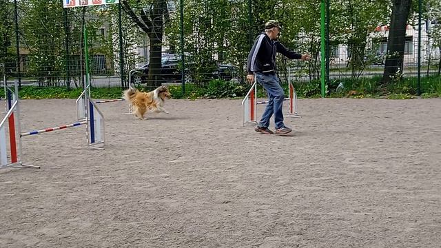 Вик, тренировка по адж, 10.05 - 1