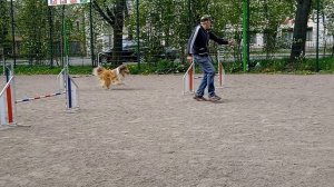 Вик, тренировка по адж, 10.05 - 1