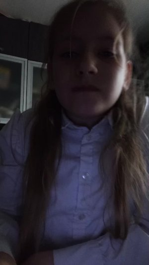 сори