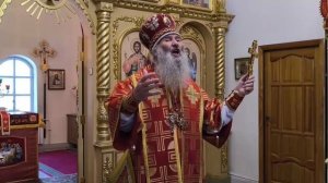 Проповедь митрополита Иоанна в Неделю о самаряныне в храме Рождества Иоанна Предтечи в п.Шелангер