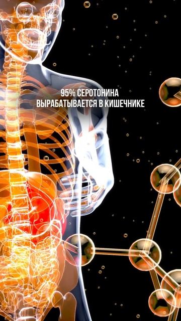 У всех проблем один источник 📌