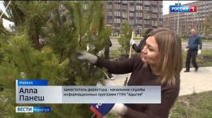 В столице Адыгеи продолжается масштабная озеленительная акция