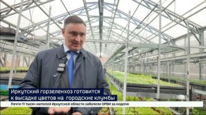 Иркутский горзеленхоз готовится к высадке цветов на городские клумбы