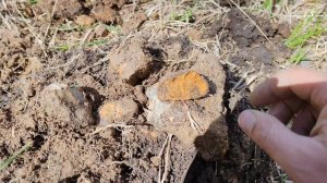 РАЗВЕДКА ЗОЛОТА В ГЛУХОЙ И ДИКОЙ ТАЙГЕ ДРЕВНЕГО УРАЛА!!!