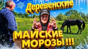 ДЕРЕВЕНСКИЕ МАЙСКИЕ МОРОЗЫ | Дом в деревне | Деревенская жизнь
