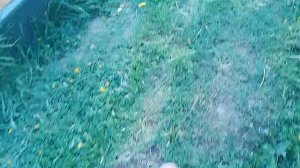 история из жизни