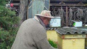 Жужжание на пределе