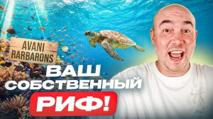Бесплатный снорклинг уровня LUXE / Секреты бухты Avani Barbarons