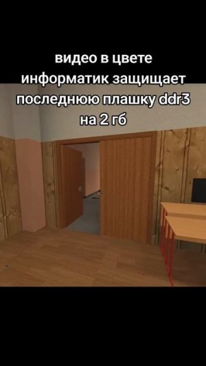 информатик защищает последнюю плашку Ddr3 на 2 гб