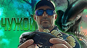 Злые поклевки ротана, где искать чужого хищника? Камыши ходуном, карась на нересте.