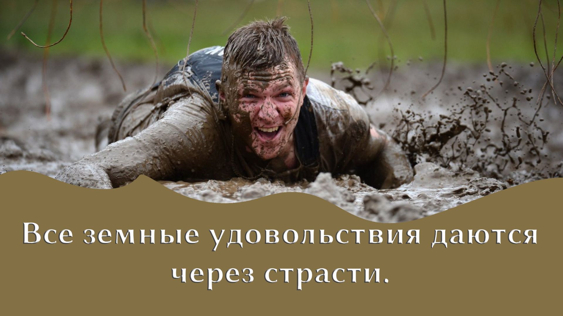 Приятности