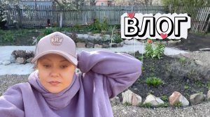 ВЛОГ /НАВОДИМ ПОРЯДОК НА ДАЧЕ/ПРИЕЗД ДОЧЕНЬКИ/ДОМАШНИЕ ХЛОПОТЫ
