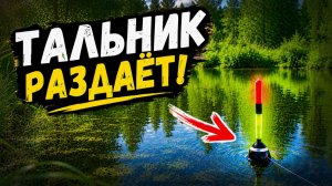 ЗАКИНУЛ В КУСТЫ И ПОШЛО! Лесная Протока Выдаёт КРУПНЫХ! Рыбалка 2026