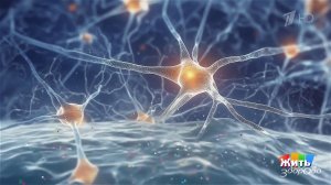 Глимфатическая система - мозг чистит во сне. Жить здорово! Фрагмент выпуска от 12.05.2026