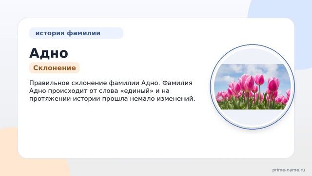 Фамилия Адно: происхождение, значение и склонение