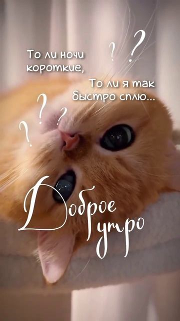 2026-05-11 смотреть онлайн