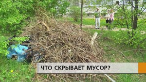 Зелёная зона под окнами становится хорошим убежищем для пьющих компаний