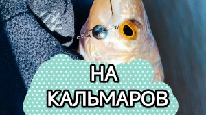 ЛОВИМ ОКУНЯ НА КАЛЬМАРОВ😁😁😁 #СПИННИНГ