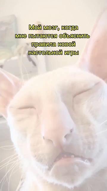 Мозг и энергоэффективность