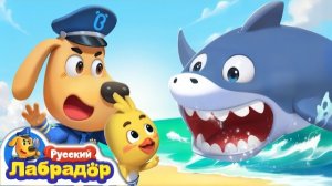 🌈🍿🦈Нападение большой акулы! | Шериф Лабрадор | Безопасность в жизни