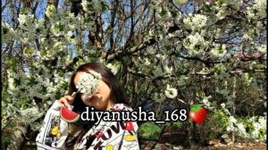 Новая цыганская песня парэс пэ бути 🍓2026г