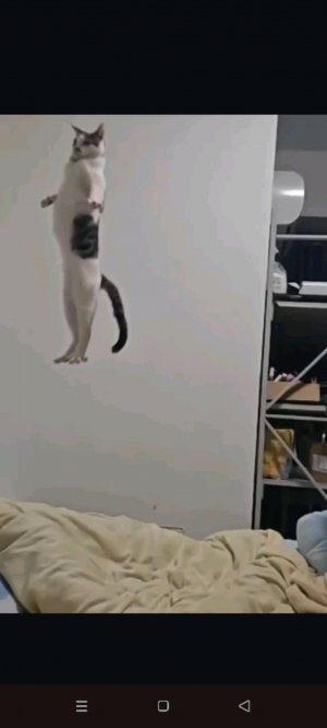 Хз