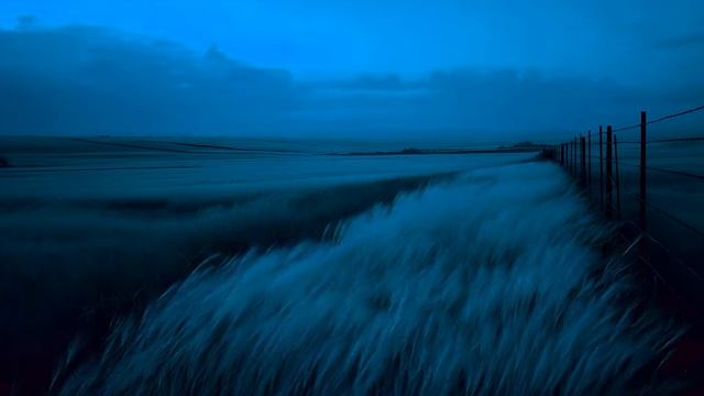 Peaceful Chill Ambient Music ｜ Relaxing Deep Chill Waves for a Silent and Restful Mind