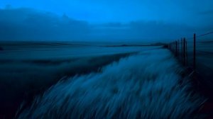 Peaceful Chill Ambient Music ｜ Relaxing Deep Chill Waves for a Silent and Restful Mind
