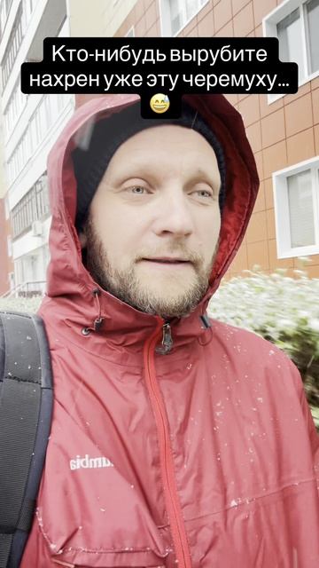 Зацвела черемуха блин 😅🤪