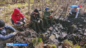 В ходе «Вахты Памяти» кировские поисковики подняли останки 94 бойцов