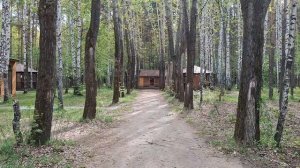 Новая истрия Красной шапочки.
