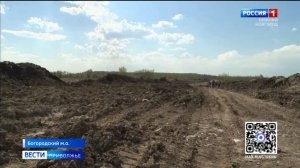 Лисьи ямки начали закапывать после проверки